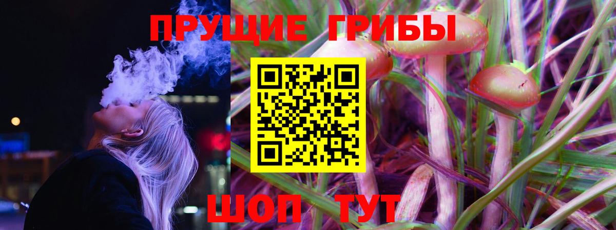 Севастополь  купить наркотик  Вход с VPN  Галлюциногенные грибы прущие грибы 